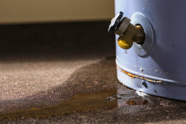 Best Flood damage cleanup  in Landrum, SC
