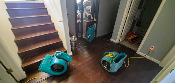 Best Ceiling water damage repair  in Landrum, SC